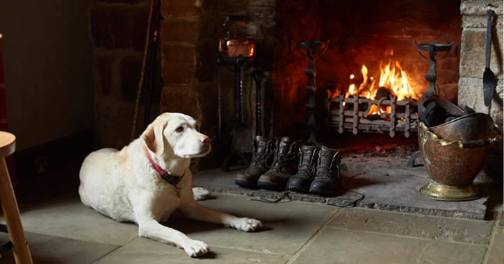 Dog Friendly Rose and Crown at Romaldkirk 